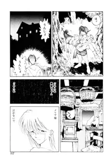 History 2 - Story Of The Forest Fairy 2, 日本語