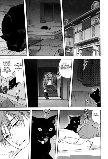 Neko no Ongaeshi | A Cat Repaying Kindness, Français