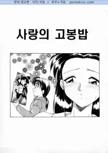 Oshiete Onee-san, 한국어