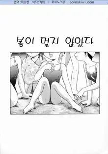 Oshiete Onee-san, 한국어