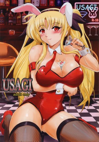 USAGI, English