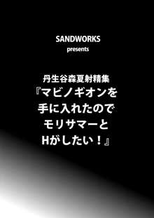 マビノギオンを手に入れたのでモリサマーとHがしたい!, 日本語