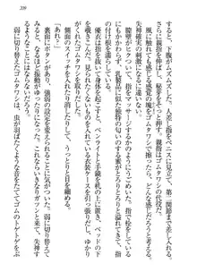 永遠の君へ ～隣りの妹～, 日本語