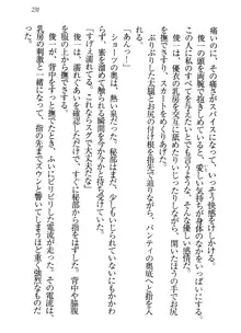 永遠の君へ ～隣りの妹～, 日本語