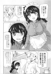 ふくらみ 乙女の恋いろは, 日本語