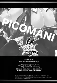 PICOMANI:14, 中文