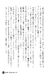 花嫁調教 恥辱の披露宴, 日本語