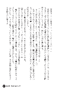 花嫁調教 恥辱の披露宴, 日本語