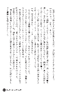 花嫁調教 恥辱の披露宴, 日本語