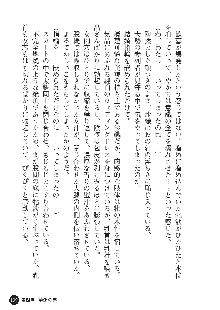 花嫁調教 恥辱の披露宴, 日本語