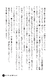 花嫁調教 恥辱の披露宴, 日本語