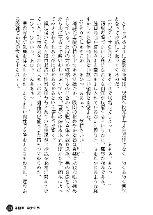 花嫁調教 恥辱の披露宴, 日本語