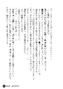 花嫁調教 恥辱の披露宴, 日本語