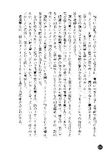 花嫁調教 恥辱の披露宴, 日本語