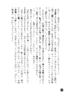 花嫁調教 恥辱の披露宴, 日本語