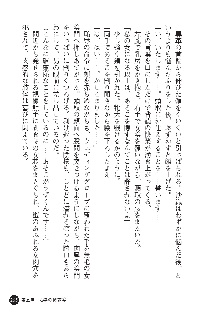 花嫁調教 恥辱の披露宴, 日本語