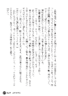 花嫁調教 恥辱の披露宴, 日本語