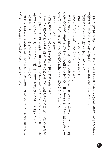 花嫁調教 恥辱の披露宴, 日本語