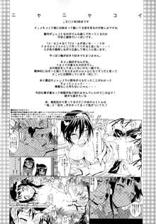 Nisenisekoi 3, 中文