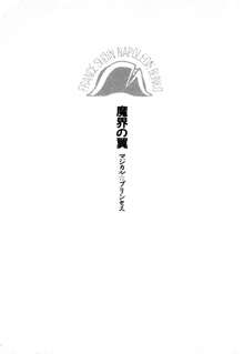 魔界の翼 マジカル☆プリンセス, 日本語