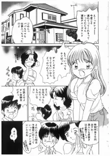 ヒミツの蕾, 日本語