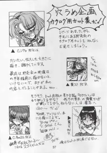 NN Magic Knight, 日本語