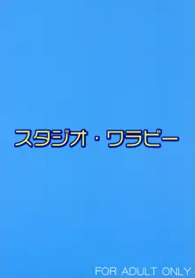 えっちぃのは好きですか? 2, 日本語