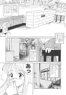 穢された制服, 日本語