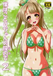 Boku wa Kotori-chan no Naka de 2, Español