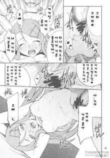 Ore x Imouto Kouryaku Daisakusen!! 02, 한국어