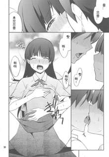 Ore x Kuroneko Kouryaku Daisakusen!!, 한국어