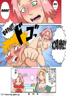 Tsunade no Inchiryou, 中文