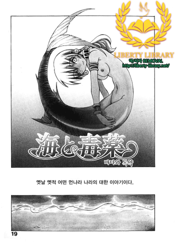 The Sea and Poison, 한국어