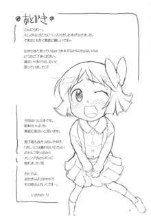 ないんちゃんとおちんちゃん, 日本語