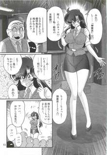 精霊特捜フェアリィセイバーＷ 妖艶天女伝, 日本語