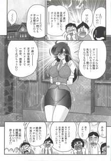 精霊特捜フェアリィセイバーＷ 妖艶天女伝, 日本語