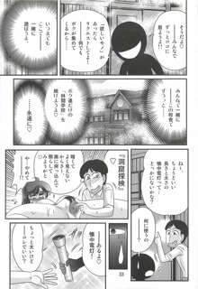 精霊特捜フェアリィセイバーＷ 妖艶天女伝, 日本語