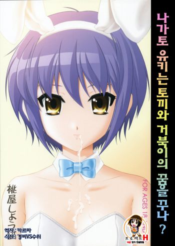 Nagato Yuki wa Usagi to Kame no Yume o Miru ka?, 한국어