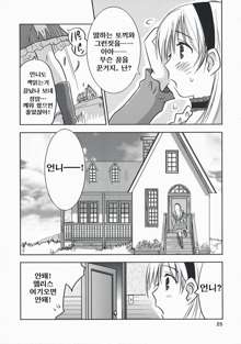 Fushigi no Kuni no Alice | 이상한 나라의 앨리스, 한국어