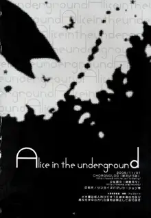 Alice in the underground, 中文