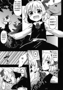 Rumia vs Buta, 中文