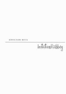 Imitation Rabbey, 日本語