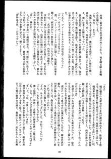 魔の色時代のダイアリー, 日本語