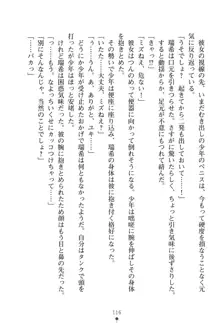 いじめっこ生徒会長にエッチなお返しをしませんか？, 日本語