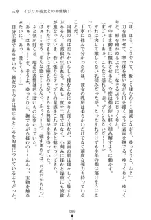 いじめっこ生徒会長にエッチなお返しをしませんか？, 日本語