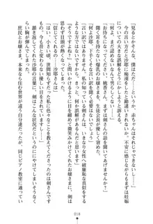 僕とお嬢さまの性教育, 日本語