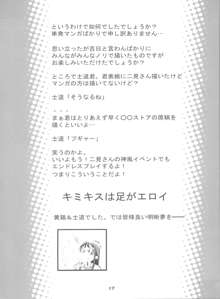 胸なんか無くたっていいんだよ!, 日本語