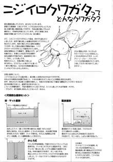 KUWAが～る, 日本語