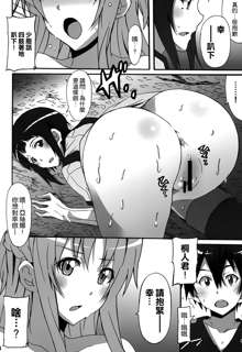 Sword Art Online Hollow Sensual, 中文