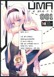 UMA report 002, 한국어